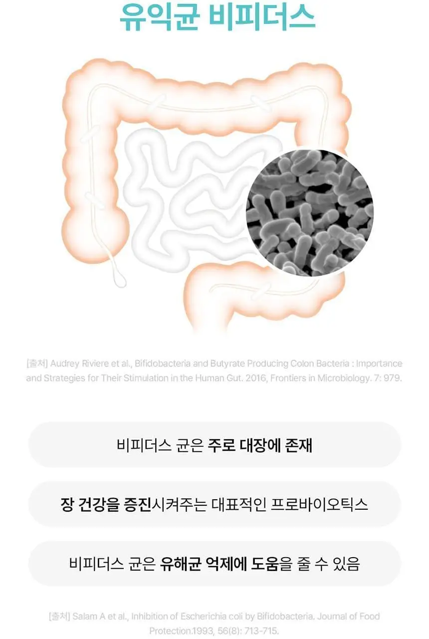 [포켓몬 에디션] 덴프스 유산균이야기 다이어트 14캡슐 기획 (+피카츄 러기지택) (14일분) (OY단독) 상세페이지 13